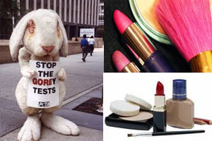 India's Historic Ban; Says No to Cosmetics Testing on Animals 